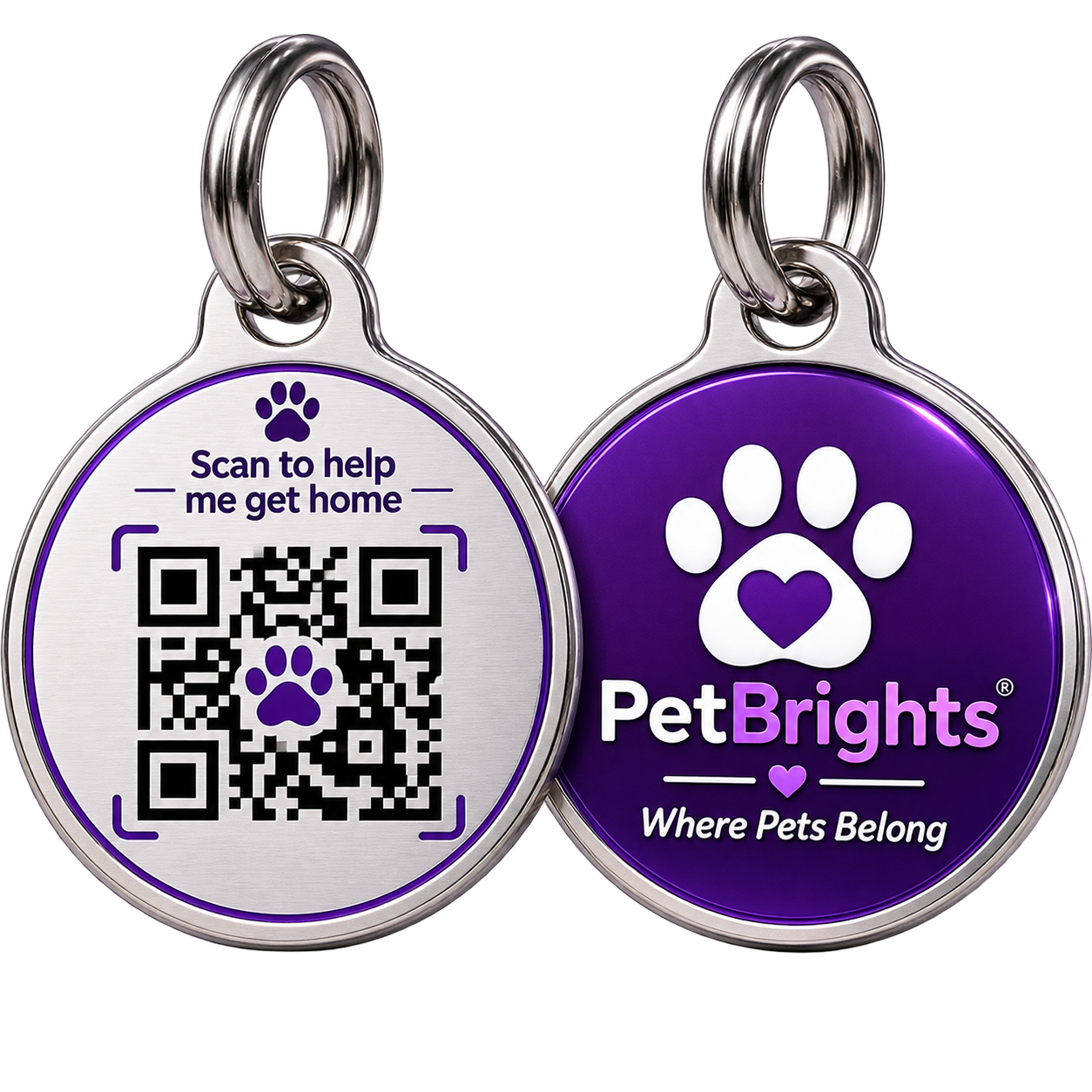 PetBrights pet tags